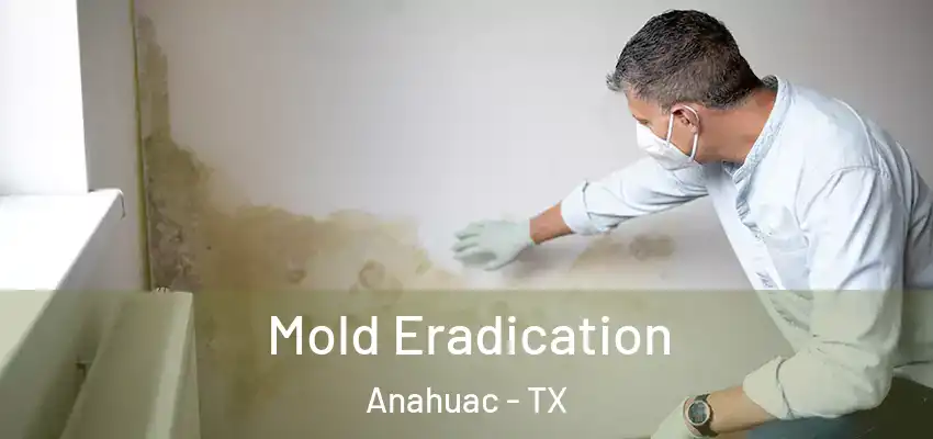  Mold Eradication Anahuac - TX