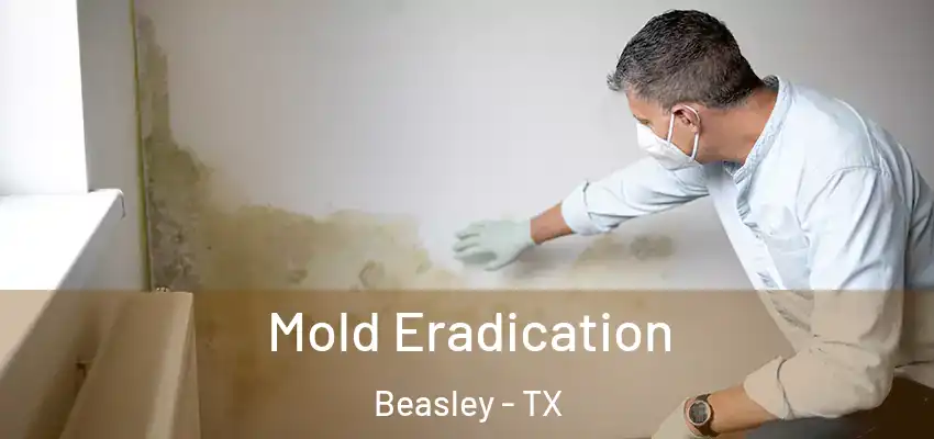 Mold Eradication Beasley - TX