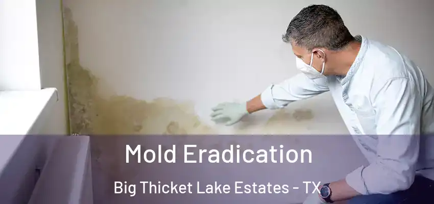 Mold Eradication Big Thicket Lake Estates - TX