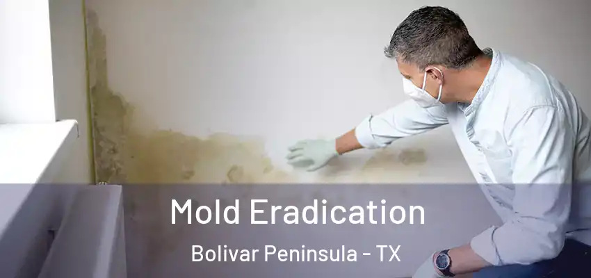 Mold Eradication Bolivar Peninsula - TX