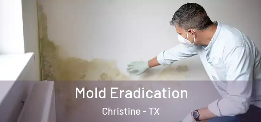  Mold Eradication Christine - TX
