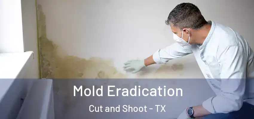  Mold Eradication Cut and Shoot - TX