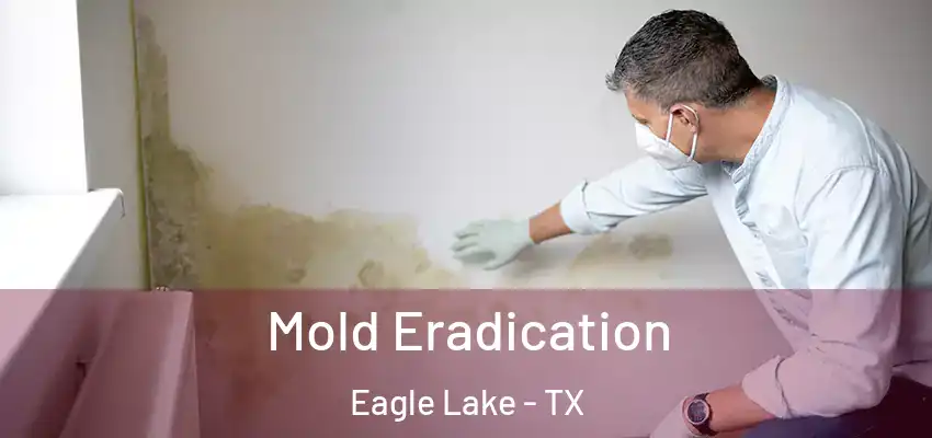  Mold Eradication Eagle Lake - TX