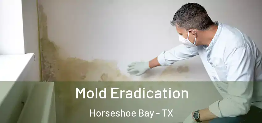  Mold Eradication Horseshoe Bay - TX