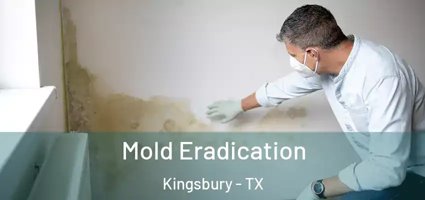 Mold Eradication Kingsbury - TX