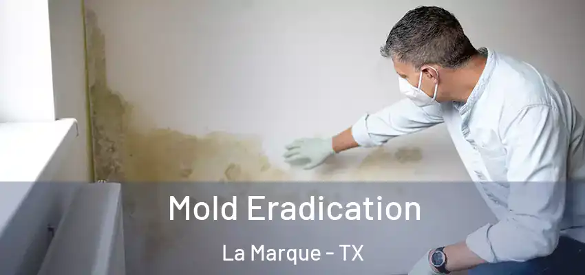 Mold Eradication La Marque - TX