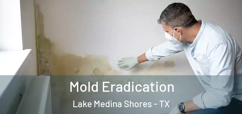 Mold Eradication Lake Medina Shores - TX