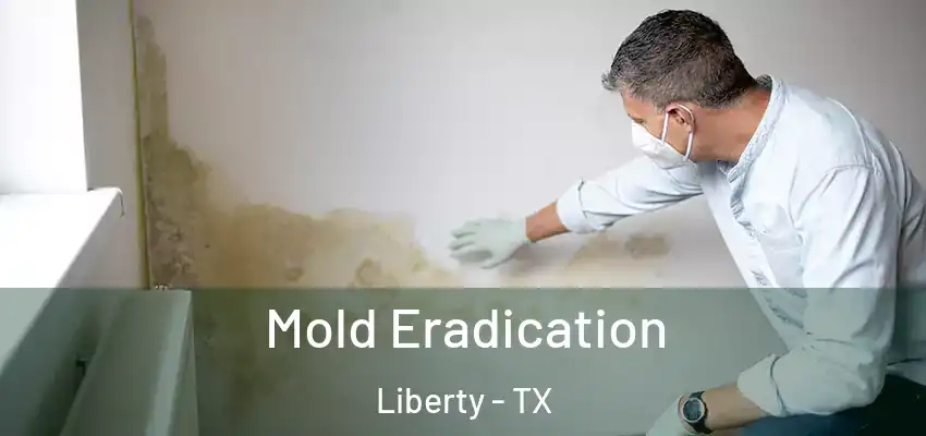  Mold Eradication Liberty - TX