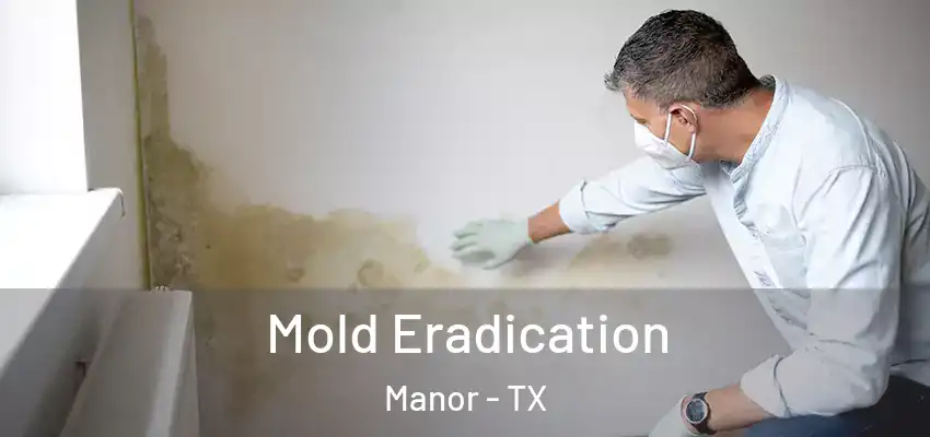  Mold Eradication Manor - TX