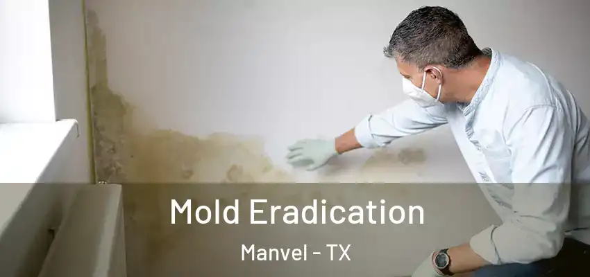 Mold Eradication Manvel - TX