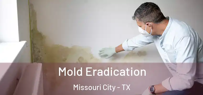  Mold Eradication Missouri City - TX