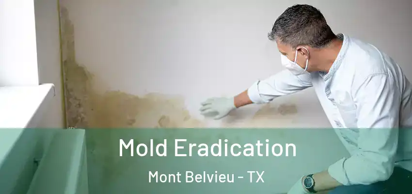  Mold Eradication Mont Belvieu - TX