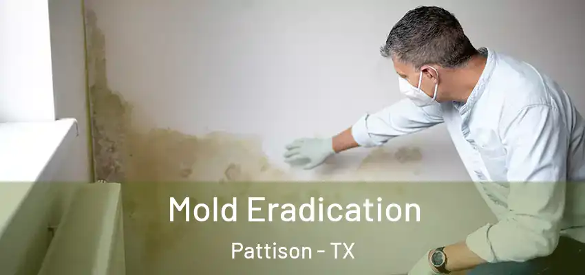  Mold Eradication Pattison - TX