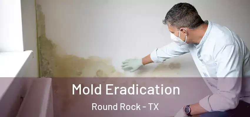  Mold Eradication Round Rock - TX