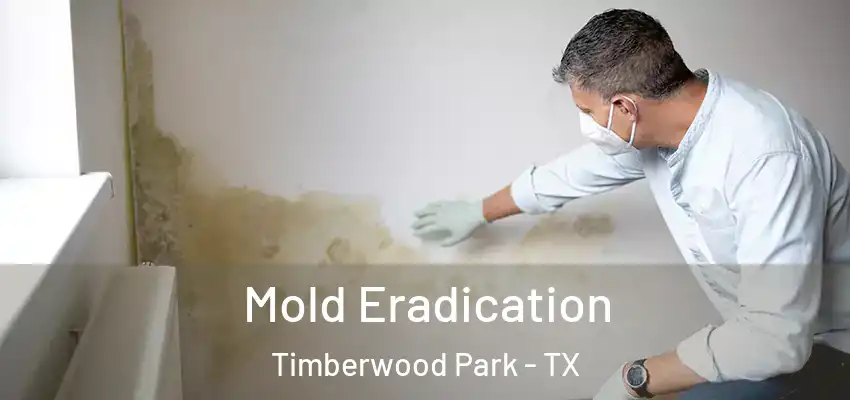  Mold Eradication Timberwood Park - TX