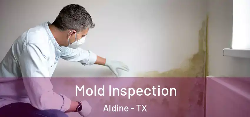 Mold Inspection Aldine - TX