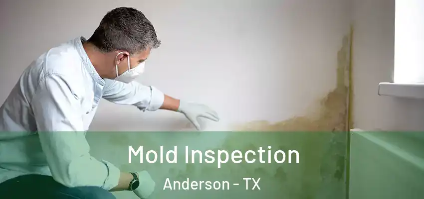  Mold Inspection Anderson - TX