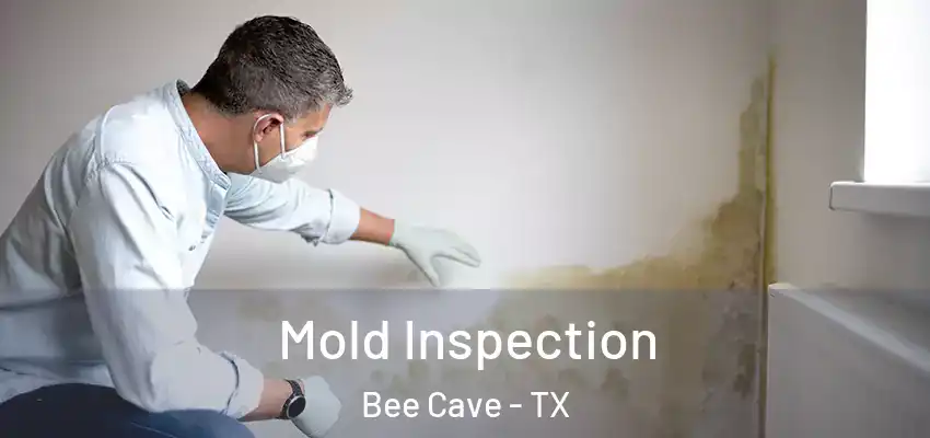Mold Inspection Bee Cave - TX