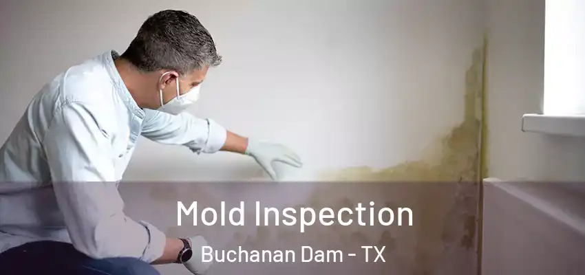 Mold Inspection Buchanan Dam - TX