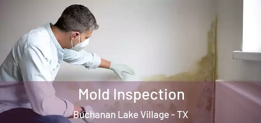 Mold Inspection Buchanan Lake Village - TX