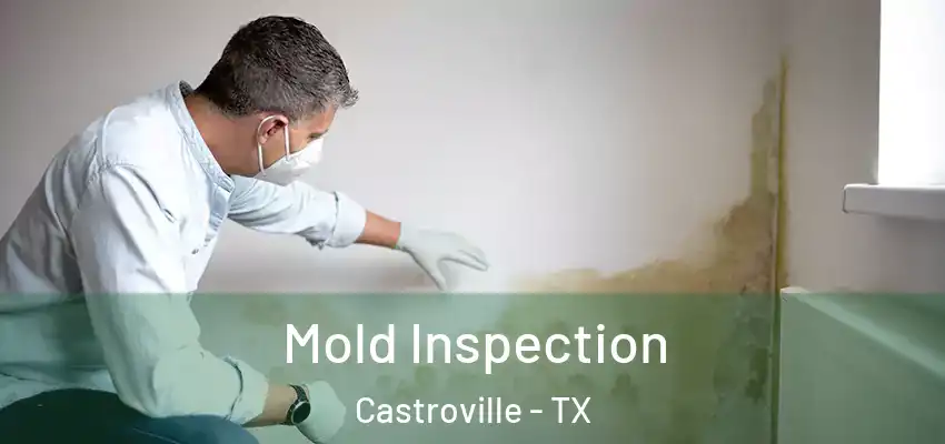 Mold Inspection Castroville - TX
