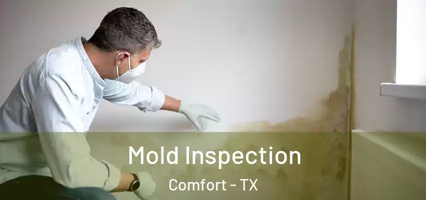 Mold Inspection Comfort - TX