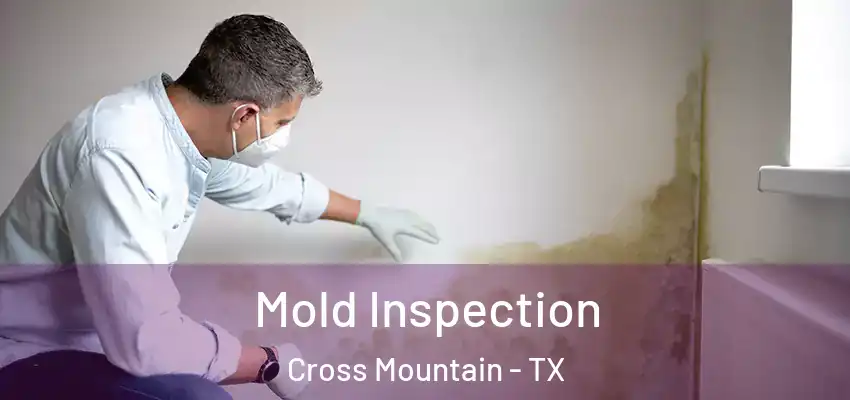 Mold Inspection Cross Mountain - TX