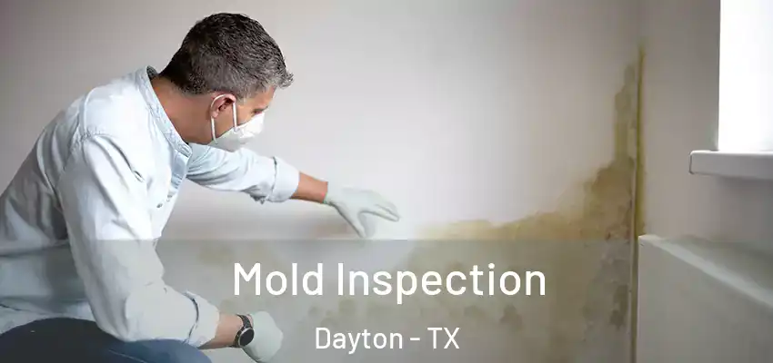Mold Inspection Dayton - TX