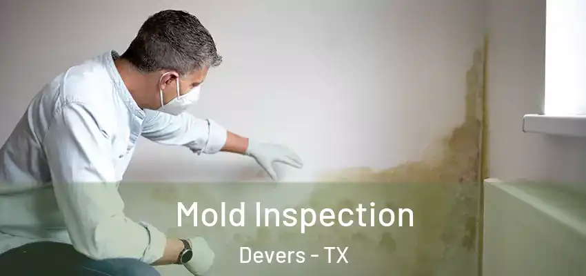  Mold Inspection Devers - TX