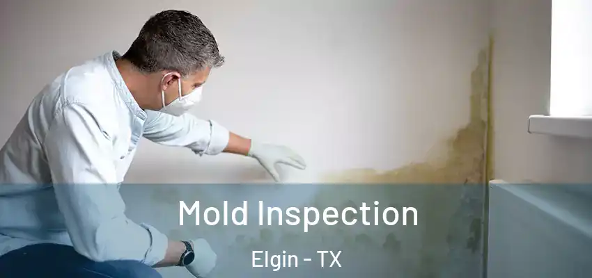  Mold Inspection Elgin - TX