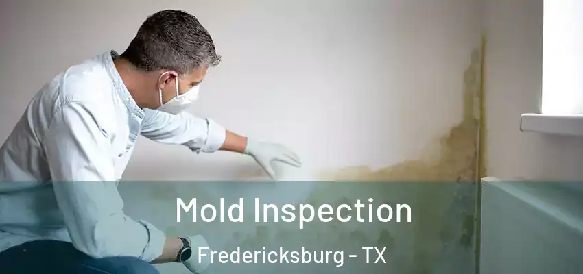Mold Inspection Fredericksburg - TX