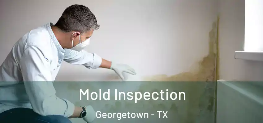 Mold Inspection Georgetown - TX