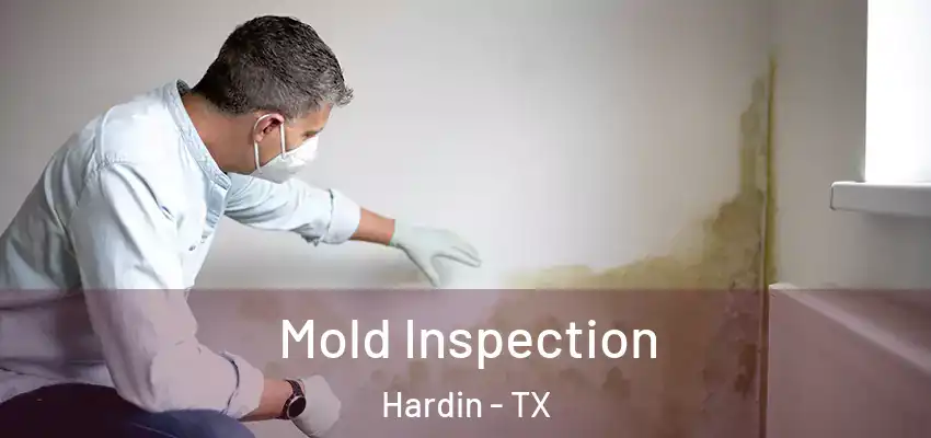 Mold Inspection Hardin - TX
