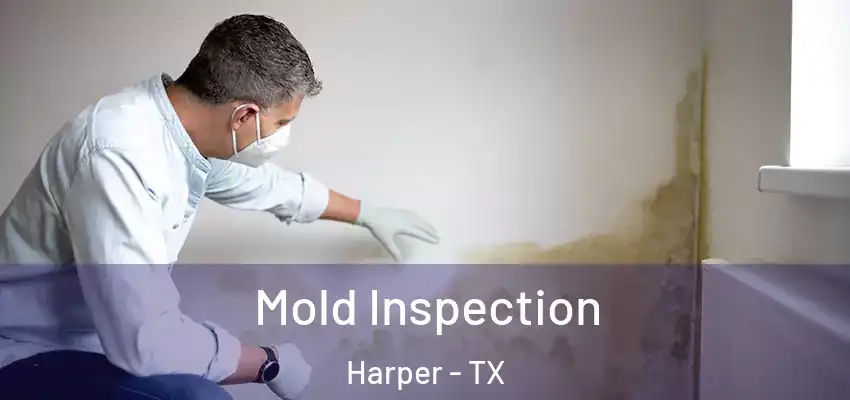  Mold Inspection Harper - TX