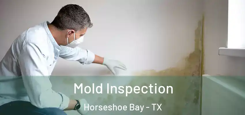  Mold Inspection Horseshoe Bay - TX