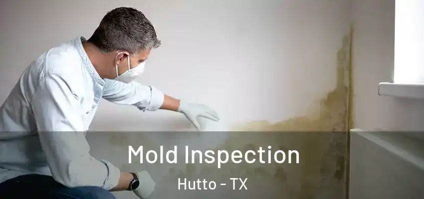  Mold Inspection Hutto - TX