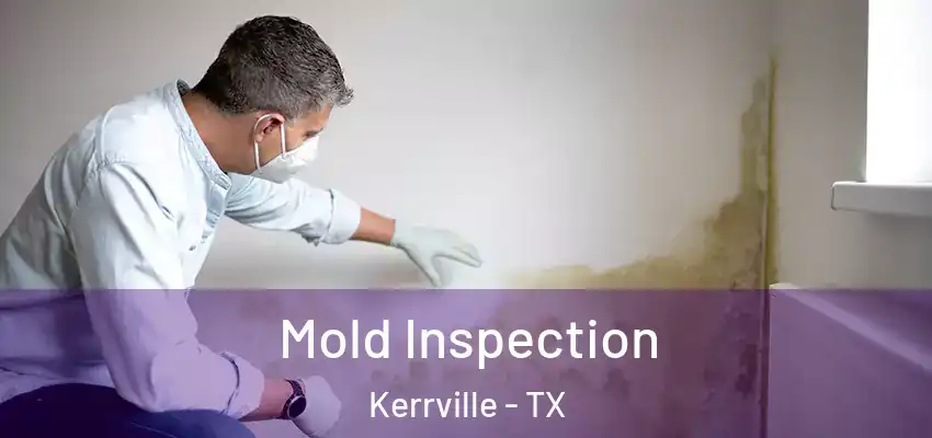  Mold Inspection Kerrville - TX