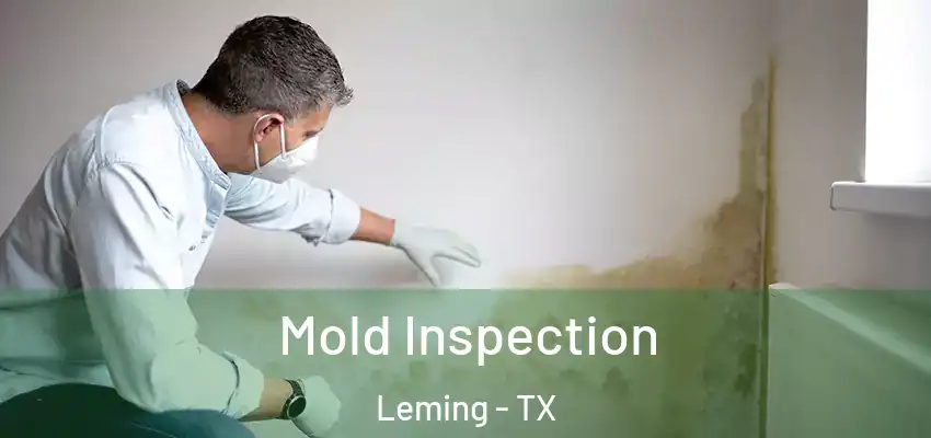  Mold Inspection Leming - TX