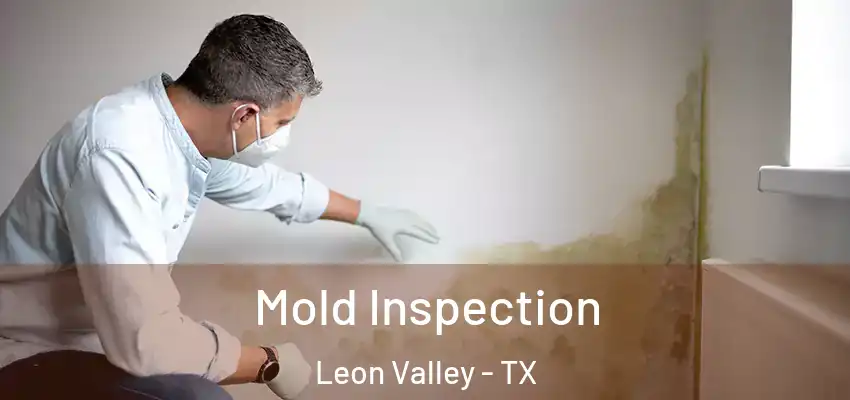 Mold Inspection Leon Valley - TX