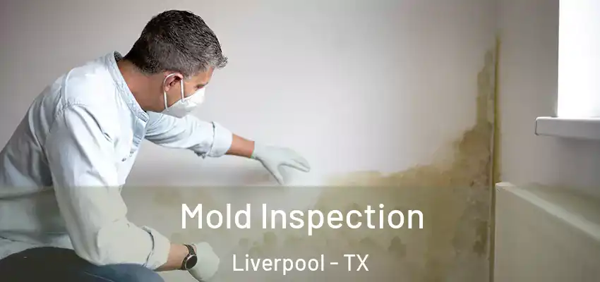  Mold Inspection Liverpool - TX