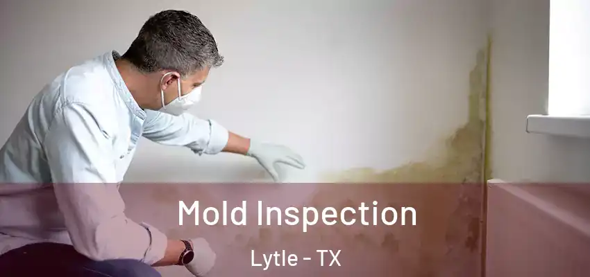  Mold Inspection Lytle - TX