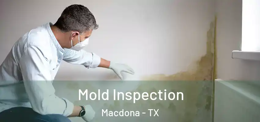  Mold Inspection Macdona - TX