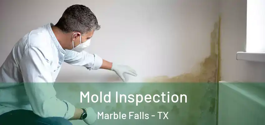  Mold Inspection Marble Falls - TX