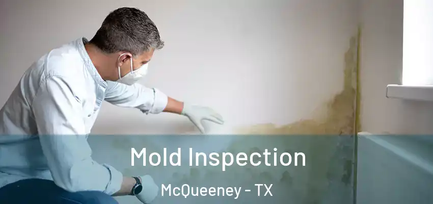  Mold Inspection McQueeney - TX