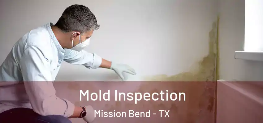 Mold Inspection Mission Bend - TX
