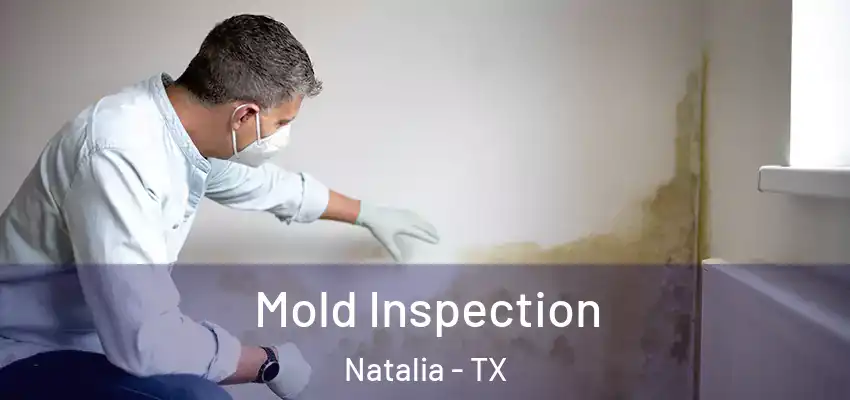 Mold Inspection Natalia - TX