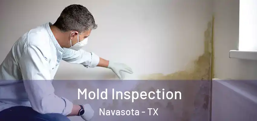  Mold Inspection Navasota - TX