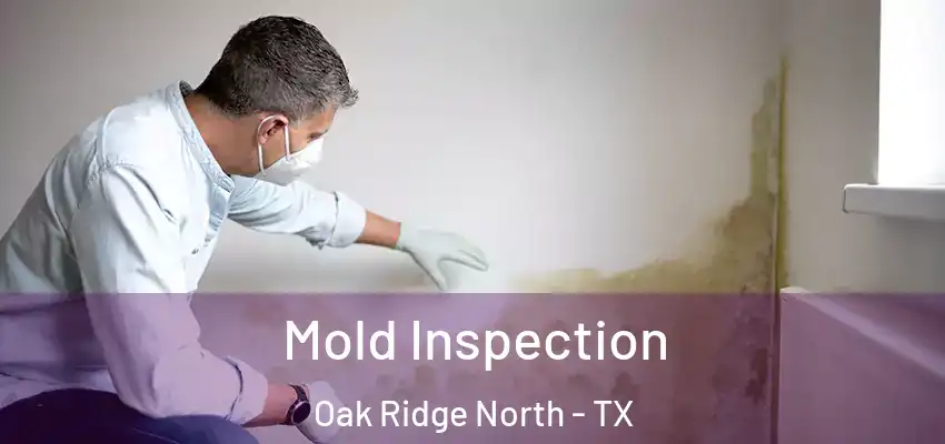  Mold Inspection Oak Ridge North - TX