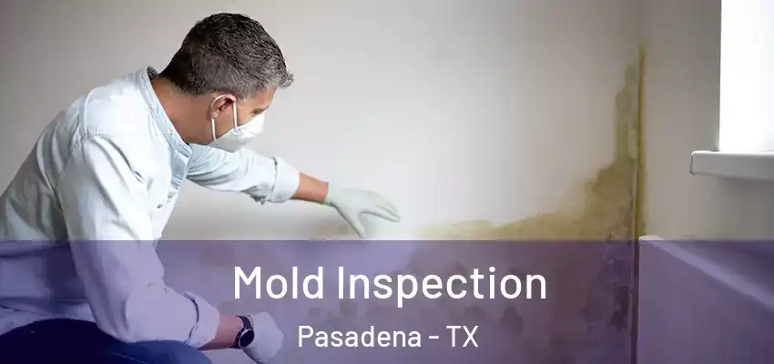  Mold Inspection Pasadena - TX