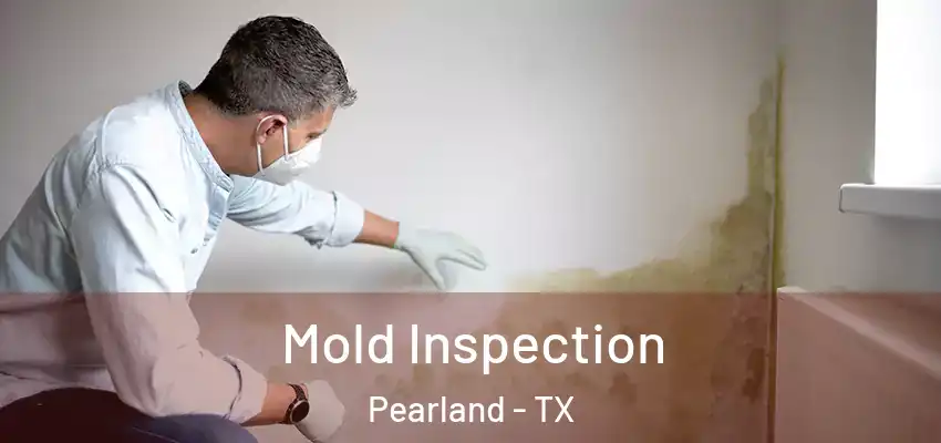 Mold Inspection Pearland - TX